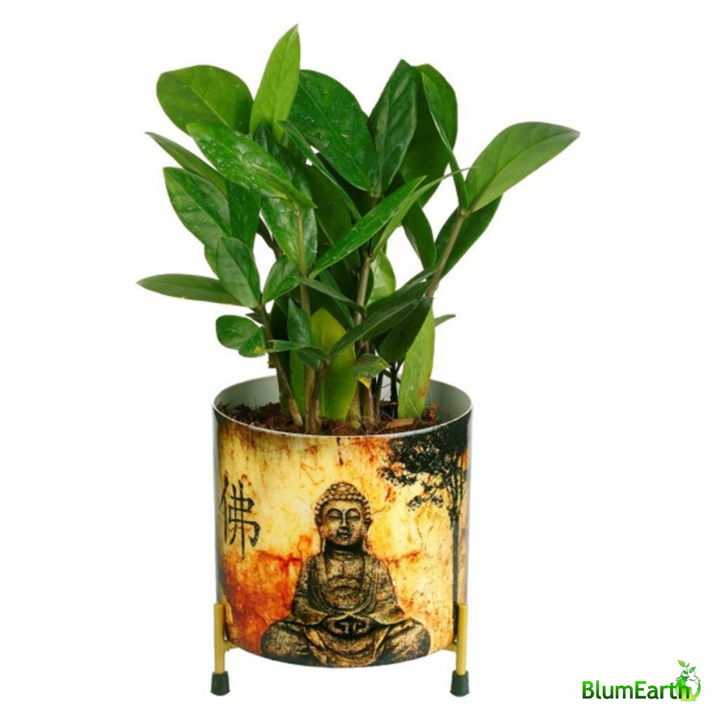 Hand Made Meditating Budha - Round Metal Pot With Tripod Stand