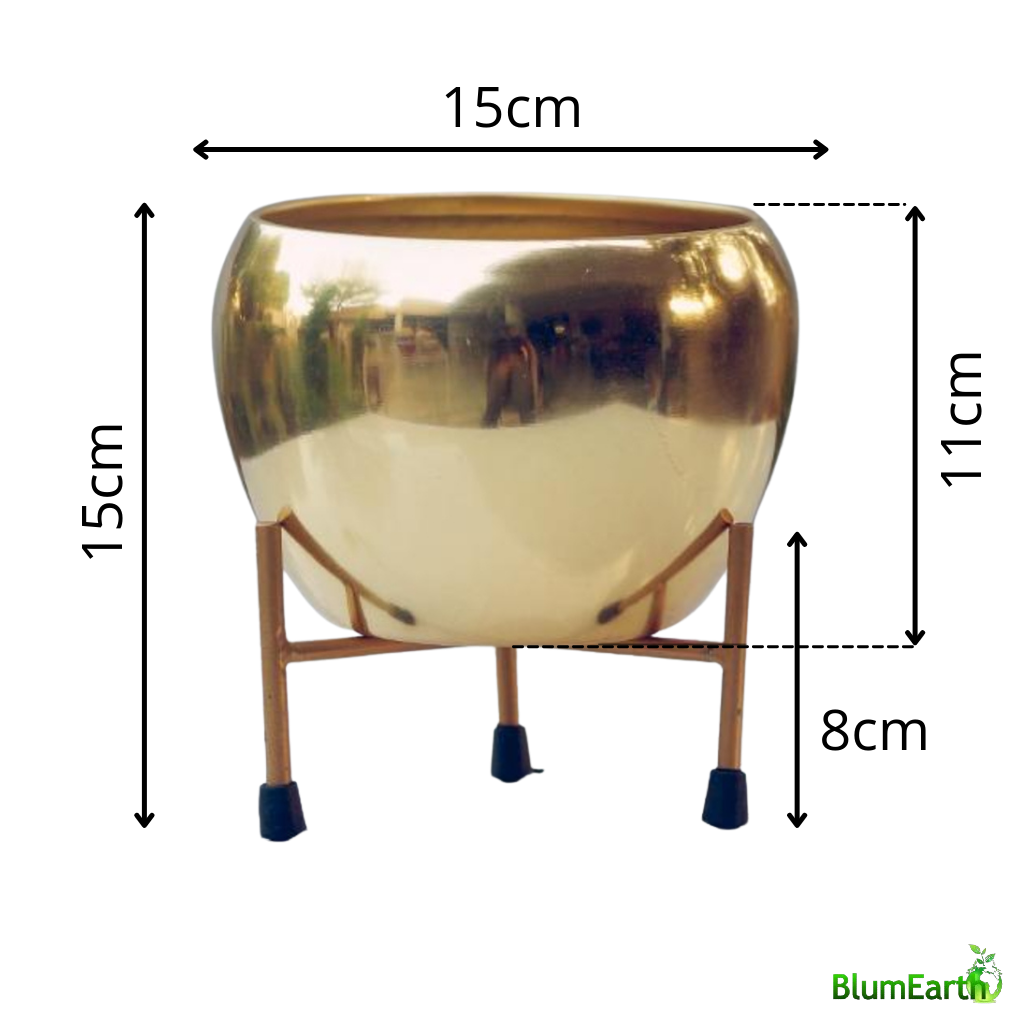 Golden round metal pot with stand