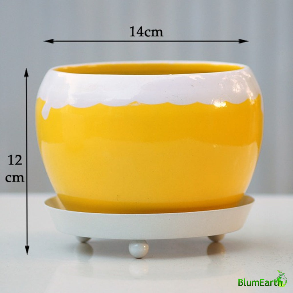 Yellow Round Metal Planter with Saucer Plate